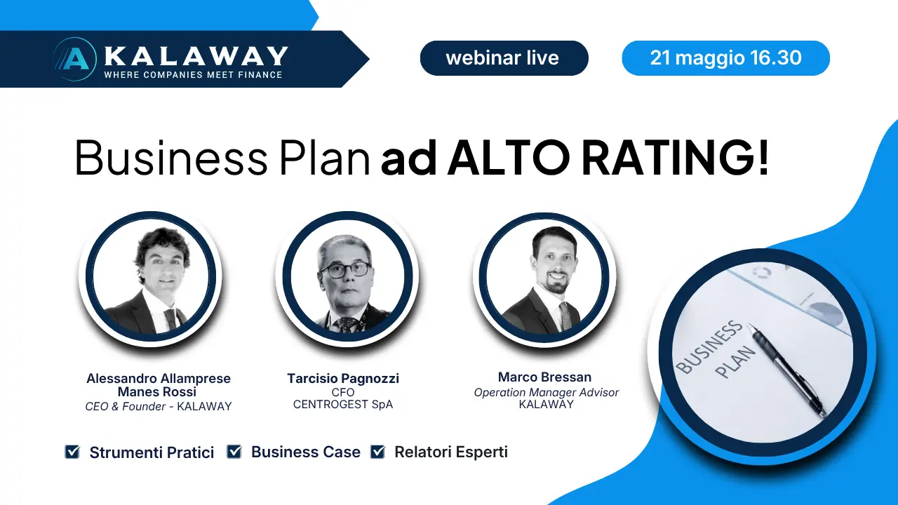 Webinar su come fare un Business Plan per le Banche e su come redigere un Business Plan per richiedere un finanziamento.